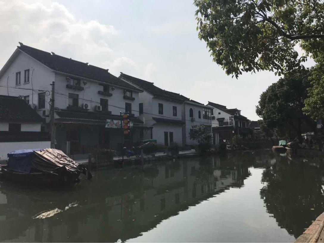 小猫钓鱼游戏龙王版有船
